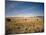 Sand Dunes of Great Sand Dunes National Park and Preserve in the Sangre De Cristo Mountains, CO-Bernard Friel-Mounted Photographic Print