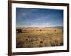 Sand Dunes of Great Sand Dunes National Park and Preserve in the Sangre De Cristo Mountains, CO-Bernard Friel-Framed Photographic Print