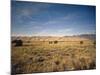 Sand Dunes of Great Sand Dunes National Park and Preserve in the Sangre De Cristo Mountains, CO-Bernard Friel-Mounted Photographic Print