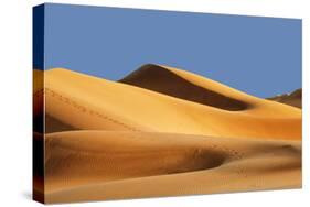 Sand Dunes of Maspalomas at Sunset-Markus Lange-Stretched Canvas