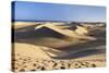 Sand Dunes of Maspalomas, Maspalomas, Gran Canaria, Canary Islands, Spain, Atlantic, Europe-Markus Lange-Stretched Canvas