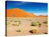 Sand Dunes of Namib Desert, Sossusvlei, Namibia-DmitryP-Stretched Canvas