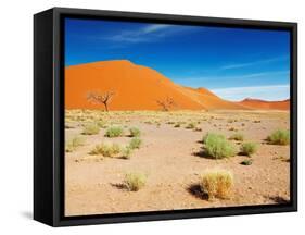 Sand Dunes of Namib Desert, Sossusvlei, Namibia-DmitryP-Framed Stretched Canvas