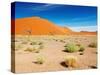 Sand Dunes of Namib Desert, Sossusvlei, Namibia-DmitryP-Stretched Canvas