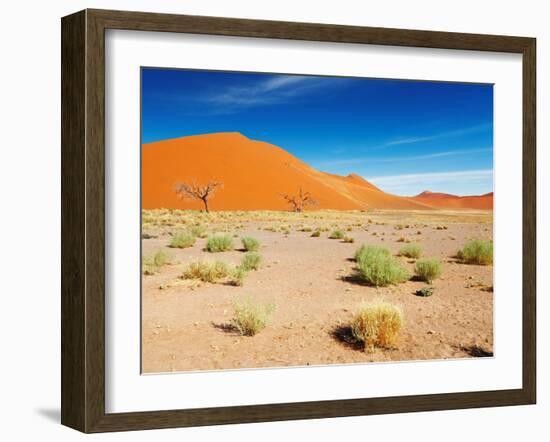 Sand Dunes of Namib Desert, Sossusvlei, Namibia-DmitryP-Framed Photographic Print