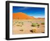 Sand Dunes of Namib Desert, Sossusvlei, Namibia-DmitryP-Framed Photographic Print