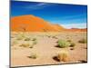 Sand Dunes of Namib Desert, Sossusvlei, Namibia-DmitryP-Mounted Photographic Print