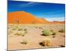 Sand Dunes of Namib Desert, Sossusvlei, Namibia-DmitryP-Mounted Photographic Print
