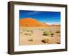 Sand Dunes of Namib Desert, Sossusvlei, Namibia-DmitryP-Framed Photographic Print