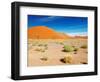 Sand Dunes of Namib Desert, Sossusvlei, Namibia-DmitryP-Framed Photographic Print