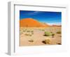 Sand Dunes of Namib Desert, Sossusvlei, Namibia-DmitryP-Framed Photographic Print