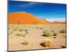 Sand Dunes of Namib Desert, Sossusvlei, Namibia-DmitryP-Mounted Photographic Print