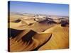 Sand Dunes of Namib-Naukluft Park-Michele Westmorland-Stretched Canvas