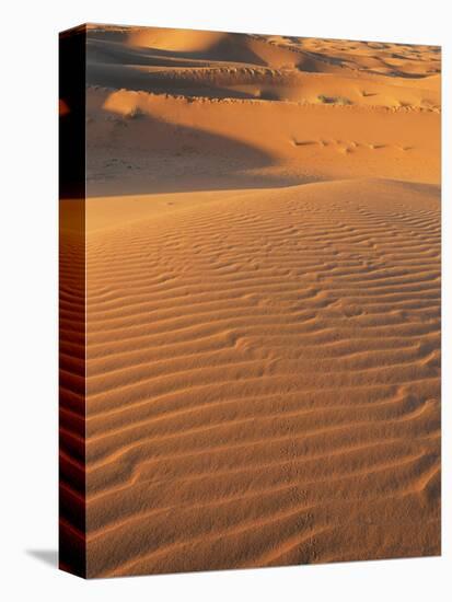 Sand Dunes of the Erg Chebbi, Sahara Desert Near Merzouga, Morocco, North Africa, Africa-Lee Frost-Stretched Canvas