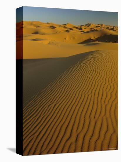 Sand Dunes of the Erg Chebbi, Sahara Desert Near Merzouga, Morocco, North Africa, Africa-Lee Frost-Stretched Canvas