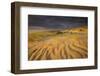 Sand Dunes on Agilos Kopa, Nagliai Nature Reserve, Curonian Spit, Lithuania, June 2009-Hamblin-Framed Photographic Print