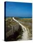 Sand dunes on beach, Abers Coast, Finistere, Brittany, France-null-Stretched Canvas