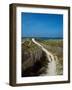 Sand dunes on beach, Abers Coast, Finistere, Brittany, France-null-Framed Photographic Print