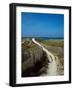 Sand dunes on beach, Abers Coast, Finistere, Brittany, France-null-Framed Photographic Print