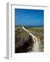 Sand dunes on beach, Abers Coast, Finistere, Brittany, France-null-Framed Photographic Print