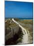 Sand dunes on beach, Abers Coast, Finistere, Brittany, France-null-Mounted Photographic Print