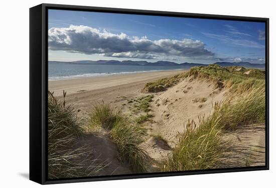 Sand dunes on Rossbeigh beach, Ring of Kerry, County Kerry, Munster, Republic of Ireland, Europe-Nigel Hicks-Framed Stretched Canvas