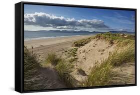 Sand dunes on Rossbeigh beach, Ring of Kerry, County Kerry, Munster, Republic of Ireland, Europe-Nigel Hicks-Framed Stretched Canvas