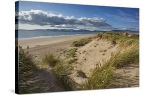 Sand dunes on Rossbeigh beach, Ring of Kerry, County Kerry, Munster, Republic of Ireland, Europe-Nigel Hicks-Stretched Canvas