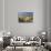 Sand dunes on Rossbeigh beach, Ring of Kerry, County Kerry, Munster, Republic of Ireland, Europe-Nigel Hicks-Photographic Print displayed on a wall