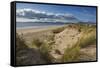 Sand dunes on Rossbeigh beach, Ring of Kerry, County Kerry, Munster, Republic of Ireland, Europe-Nigel Hicks-Framed Stretched Canvas