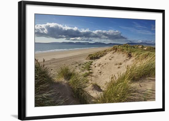 Sand dunes on Rossbeigh beach, Ring of Kerry, County Kerry, Munster, Republic of Ireland, Europe-Nigel Hicks-Framed Photographic Print