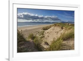 Sand dunes on Rossbeigh beach, Ring of Kerry, County Kerry, Munster, Republic of Ireland, Europe-Nigel Hicks-Framed Photographic Print