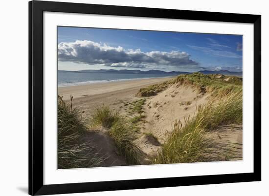 Sand dunes on Rossbeigh beach, Ring of Kerry, County Kerry, Munster, Republic of Ireland, Europe-Nigel Hicks-Framed Photographic Print