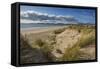 Sand dunes on Rossbeigh beach, Ring of Kerry, County Kerry, Munster, Republic of Ireland, Europe-Nigel Hicks-Framed Stretched Canvas