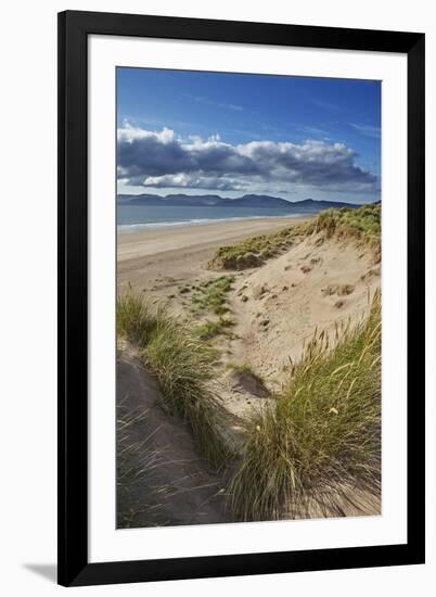 Sand dunes on Rossbeigh beach, Ring of Kerry, County Kerry, Munster, Republic of Ireland, Europe-Nigel Hicks-Framed Photographic Print