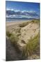 Sand dunes on Rossbeigh beach, Ring of Kerry, County Kerry, Munster, Republic of Ireland, Europe-Nigel Hicks-Mounted Photographic Print