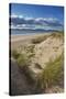 Sand dunes on Rossbeigh beach, Ring of Kerry, County Kerry, Munster, Republic of Ireland, Europe-Nigel Hicks-Stretched Canvas