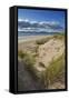 Sand dunes on Rossbeigh beach, Ring of Kerry, County Kerry, Munster, Republic of Ireland, Europe-Nigel Hicks-Framed Stretched Canvas