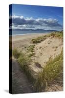 Sand dunes on Rossbeigh beach, Ring of Kerry, County Kerry, Munster, Republic of Ireland, Europe-Nigel Hicks-Stretched Canvas