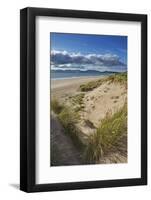 Sand dunes on Rossbeigh beach, Ring of Kerry, County Kerry, Munster, Republic of Ireland, Europe-Nigel Hicks-Framed Photographic Print