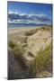 Sand dunes on Rossbeigh beach, Ring of Kerry, County Kerry, Munster, Republic of Ireland, Europe-Nigel Hicks-Mounted Photographic Print