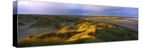 Sand Dunes on the Beach, Newburgh, River Ythan, Aberdeenshire, Scotland-null-Stretched Canvas
