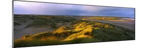 Sand Dunes on the Beach, Newburgh, River Ythan, Aberdeenshire, Scotland-null-Mounted Photographic Print