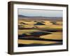 Sand Dunes, Skeleton Coast National Park, Namibia, Africa-Sergio Pitamitz-Framed Photographic Print