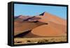 Sand dunes, Sossusvlei, Namib Desert, Namib-Naukluft National Park, Namibia-null-Framed Stretched Canvas