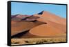 Sand dunes, Sossusvlei, Namib Desert, Namib-Naukluft National Park, Namibia-null-Framed Stretched Canvas