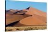 Sand dunes, Sossusvlei, Namib Desert, Namib-Naukluft National Park, Namibia-null-Stretched Canvas