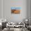 Sand dunes, Sossusvlei, Namib Desert, Namib-Naukluft National Park, Namibia-null-Stretched Canvas displayed on a wall