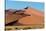 Sand dunes, Sossusvlei, Namib Desert, Namib-Naukluft National Park, Namibia-null-Stretched Canvas