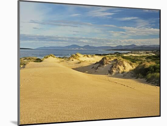 Sand Dunes, St. Helens Conservation Area, St. Helens, Tasmania, Australia, Pacific-Jochen Schlenker-Mounted Photographic Print